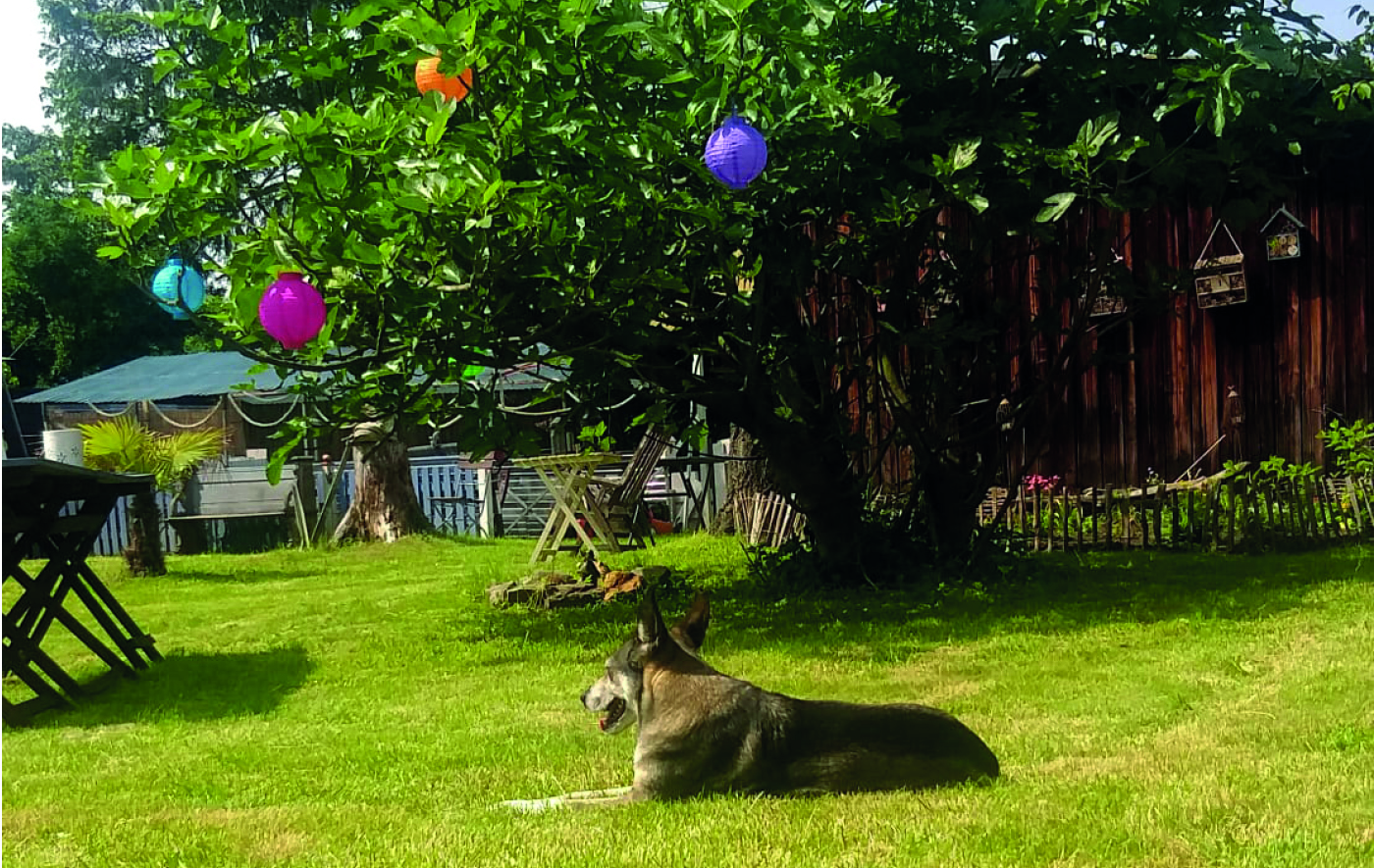 Garten der Hundepension in Dormagen Zons