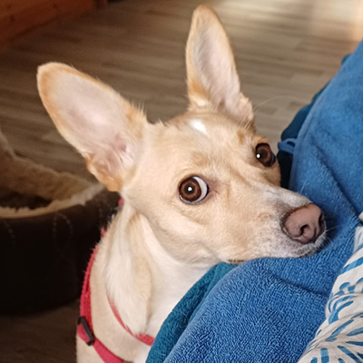 Michaela Tosetti / Kira